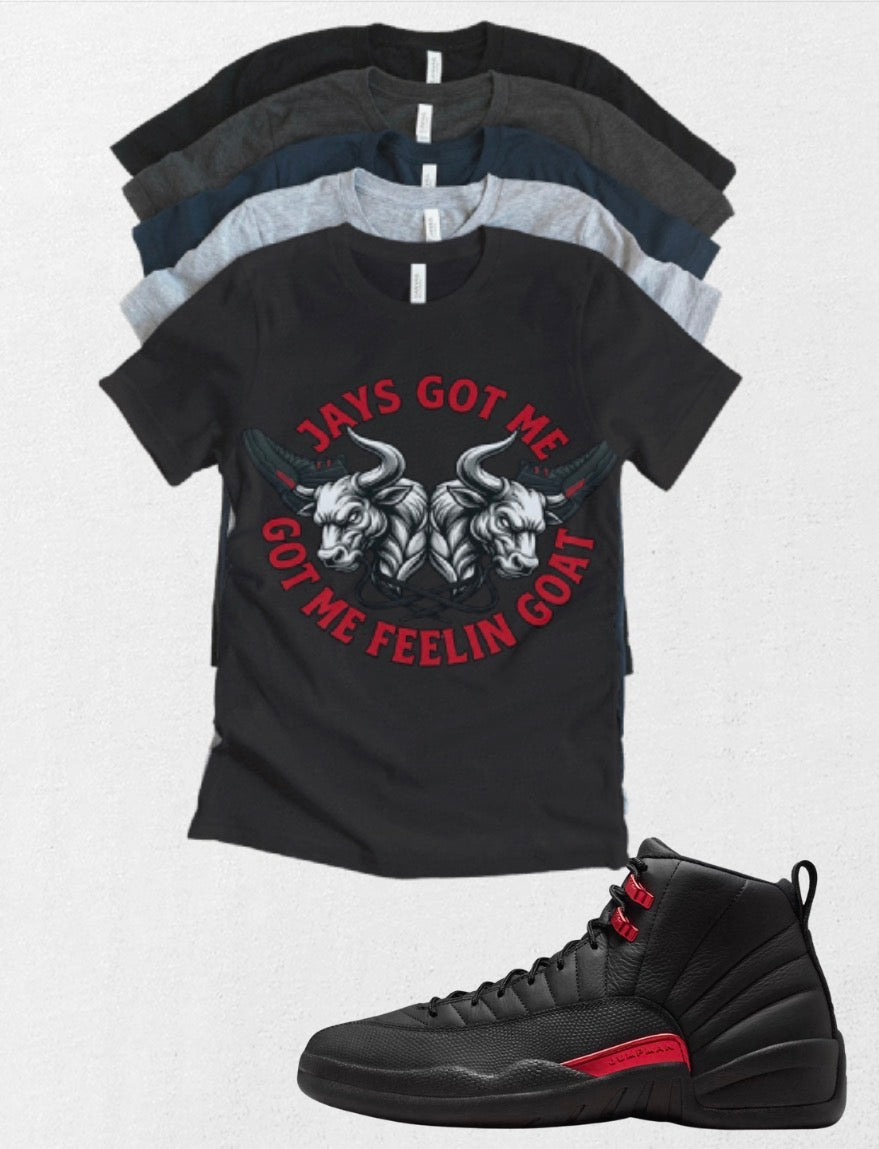 Jordan 12 Bloodline GOAT matching T-shirt sneaker head tee