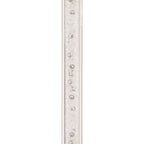Vetrina Stem Toasting Flute, set of two