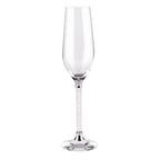 Vetrina Stem Toasting Flute, set of two